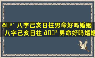 🪴 八字己亥日柱男命好吗婚姻「八字己亥日柱 🐳 男命好吗婚姻怎么样」